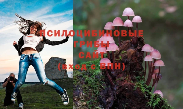 прущие крисы Аркадак