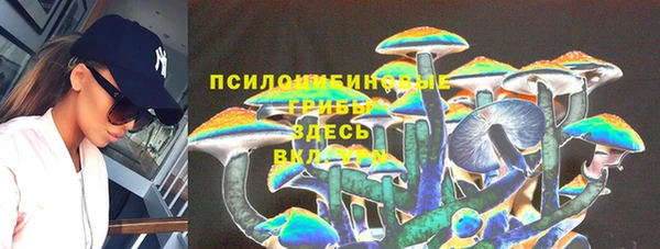 тгк Арсеньев
