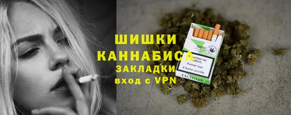 тгк Арсеньев